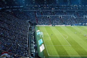 JiuyouAPP下载-公牛球队赛季表现超出预期