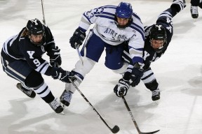 九游网页版入口-回顾电竞赛季最佳操作合集，电竞赛事常用赛制